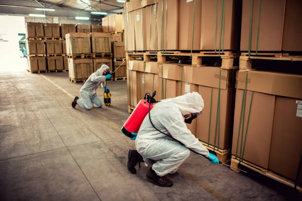  Los Alamitos, CA Pest Control Pros
