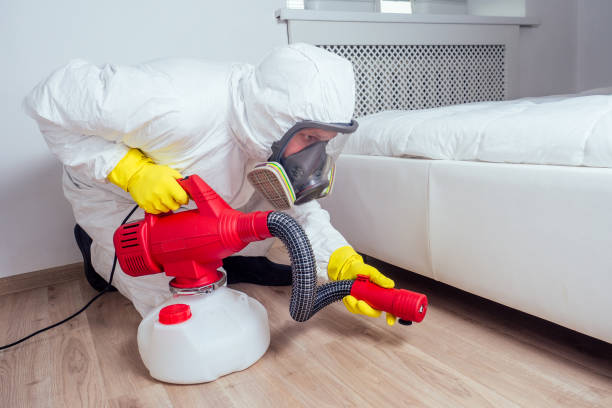 Best Insect Control  in Los Alamitos, CA