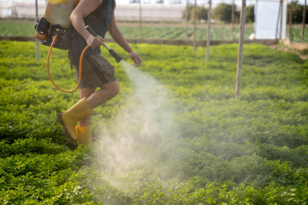 Best Wildlife Control Services  in Los Alamitos, CA