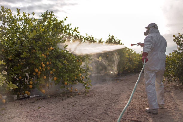 Best Wildlife Control Services  in Los Alamitos, CA